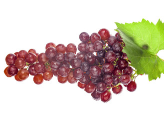 Grapes on a white background