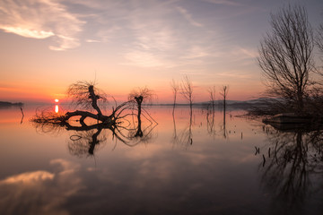 Lake at sunset, with trees and branches coming out of water, a beautiful sky with warm, colorful tones and sun low on the horizon