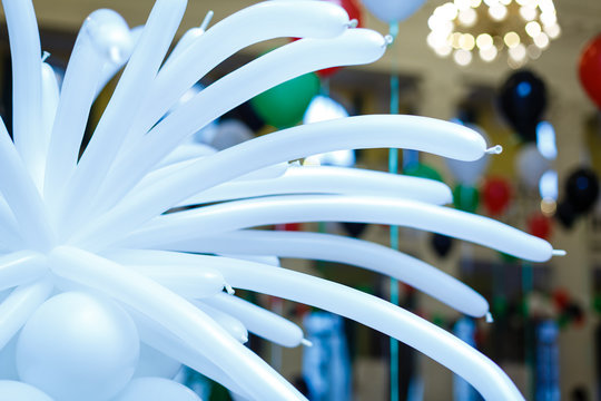 Balloon  in tree isolated  - Powered by Adobe