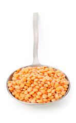 Raw red, dried  lentils in metal spoon