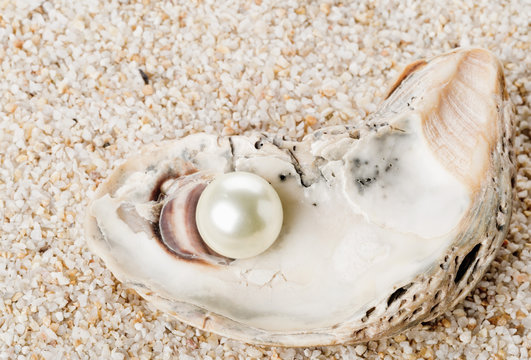 Single pearl in oyster sea shell on sand