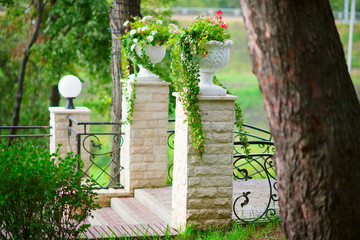 Summer day in public city park