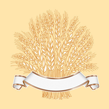 Hand drawn wheat sheaf on beige background with white elegant banner