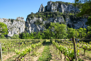 View of Ardeche Gorges