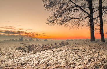 Winter im Teufelsmoor bei Sonnenaufgang - 183296099