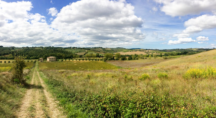 Landschaft auf der Tenuta Di Monaciano nahe Siena