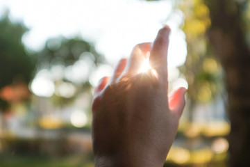 太陽にかざす手