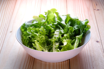 lettuce, oak, green, white, salad, vegetable, bowl, healthy, fresh, organic, plant, leaf, food, background, vegetarian, raw, diet, nutrition, natural, health, nature, ingredient, freshness, closeup, h