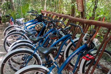 Fototapeta na wymiar bicycles in the mayan forest
