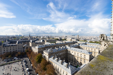 Fototapeta na wymiar ノートルダム大聖堂から見るパリ市街の風景