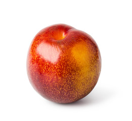 plum fruit