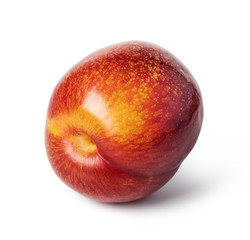 plum fruit
