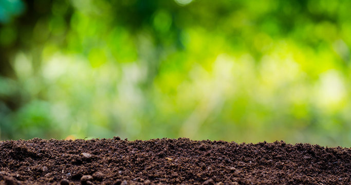 soil texture with green background
