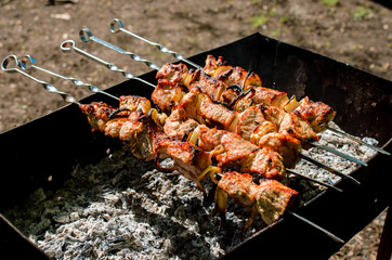 Cooking barbecue in nature.