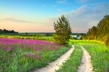 Foto op Plexiglas summer rural landscape with a blossoming meadow, road and a farm © yanikap