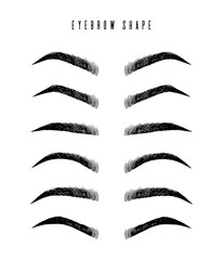 Eyebrow shapes. Various types of eyebrows. Classic type and other. Trimming. Vector illustration with different thickness of brows. Makeup tips. - 183300017