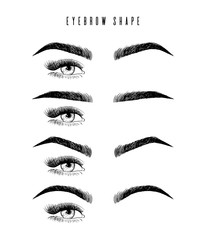 Eyebrow shaping for women face makeup. Eyebrows shape set vector illustration. arious types of eyebrows. Classic type and other. Illustration with different thickness of brows. Makeup tips. - 183300029