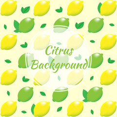 Citrus background. Lemon and lime with leaves