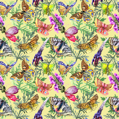 Fototapeta na wymiar Exotic butterfly wild insect pattern in a watercolor style. Full name of the insect: butterfly. Aquarelle wild insect for background, texture, wrapper pattern or tattoo.