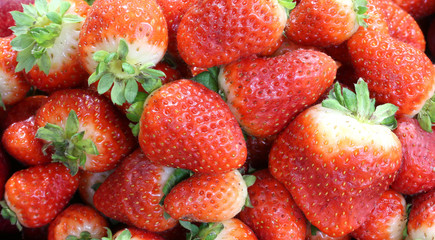 macro photography of red large ripe strawberries