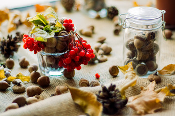 Autumn decoration with acorns and red rowan berries in the glass and pine cone, surrounded with dry leaves