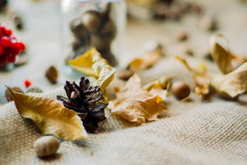 Autumn decoration with  pine cone, surrounded with dry leaves and acorns