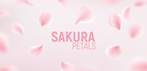 Pink sakura petals falling flower vector background. Romantic blossom sakura flower petals © kolonko