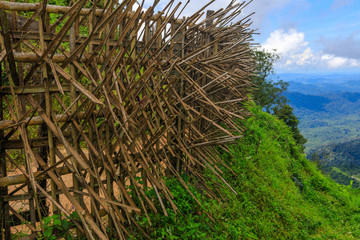 Bamboo wall in border of Myanmar and Thailand.