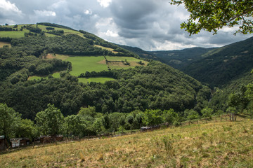 Paysage de l' Aveyron , vallée du Lot , France