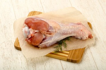 Raw turkey leg