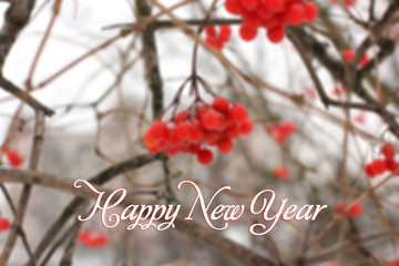 Happy New Year 2018. Card. Happy New Year. Merry Christmas