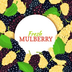 Round white label on ripe mulberry and leaves background. Vector card illustration. Berries fresh and juicy mulberry frame for design of food packaging juice breakfast, cosmetics, tea, detox diet.