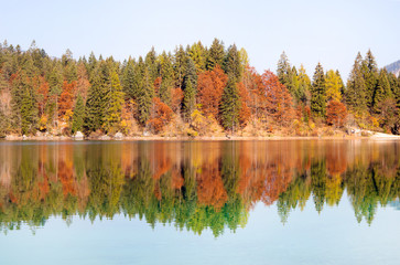 Obraz premium Beautiful and bright autumn trees with reflection on the water.