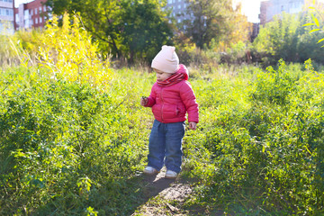 Cute 1 years girl walking in autumn outdoors