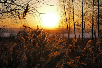Naklejka premium Spectacular views of the field in front of lake. Verkh-Isetskoe reservoir, Ekaterinburg, Sverdlovsk oblast, Russia.
