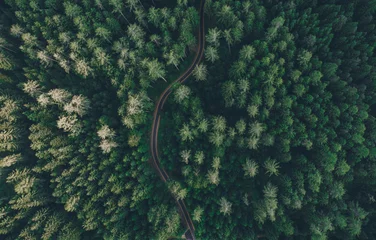 Foto op Aluminium Aerial view of a road in the middle of the forest © oneinchpunch