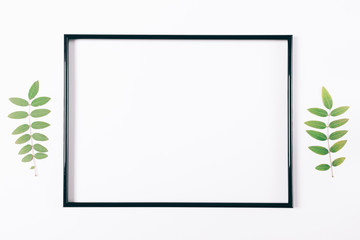 Black frame on a white background and plant twigs