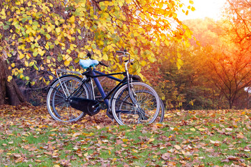 Fototapeta premium Bike parked in the fall public park with sunset background, Outdoor bicycle in autumn park with sunset and sunshine landscape background.