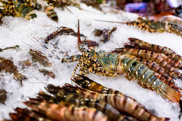 Lobster in Hua Hin, Thailand