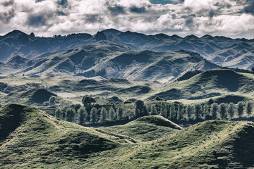 Landschaft  am Waganui River, Neuseeland, Nordinsel