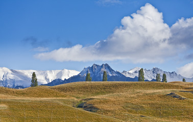 Herbst in der Wanaka Region, Neuseeland, Südinsel