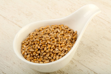Wheat grains