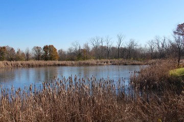 The pond in the park on a sunny day in the month of November.