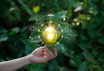 Hand holding light bulb on green nature with icons energy sources for renewable, sustainable...