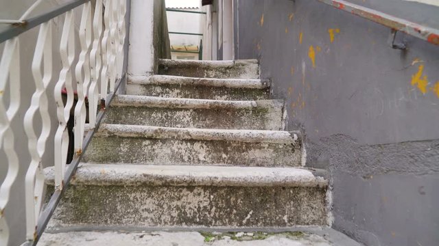 15167_The_moss_on_the_stairs_on_the_house.mov
