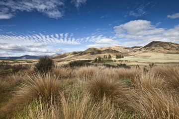 Steppen- und Weideland in Central Otago,Neuseeland