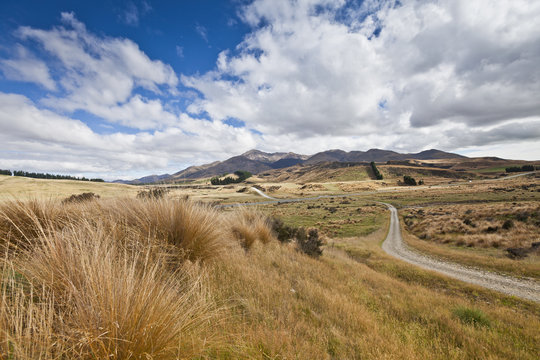 Steppen- und Weideland in Central Otago,Neuseeland