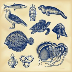 Vintage nautical collection