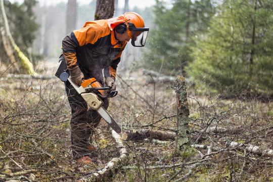 Man cutting branch