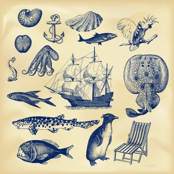 Vintage nautical collection